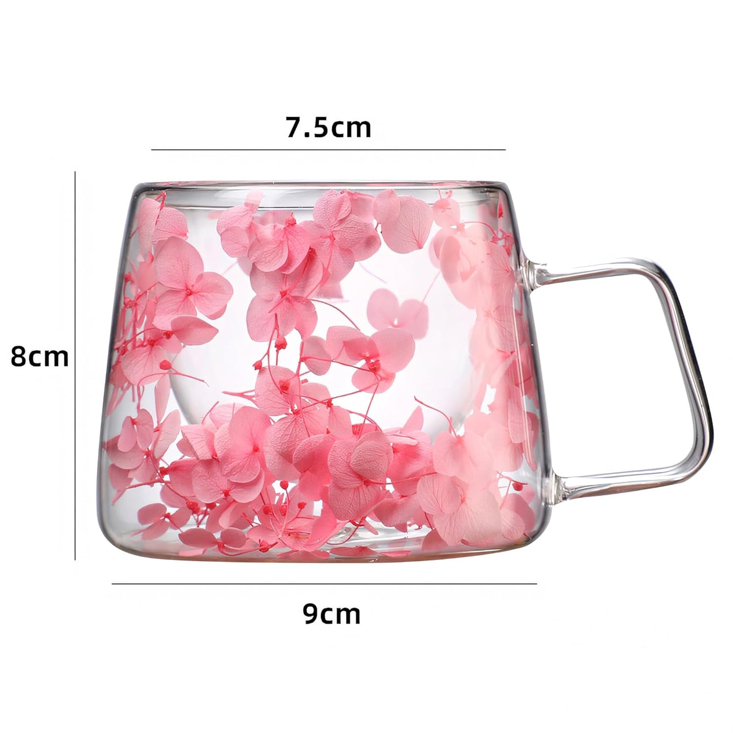 Premium Double-Walled Borosilicate Glass Cup 200ml | Insulated Tea, Coffee & Juice Mug with Dried Pink Flowers